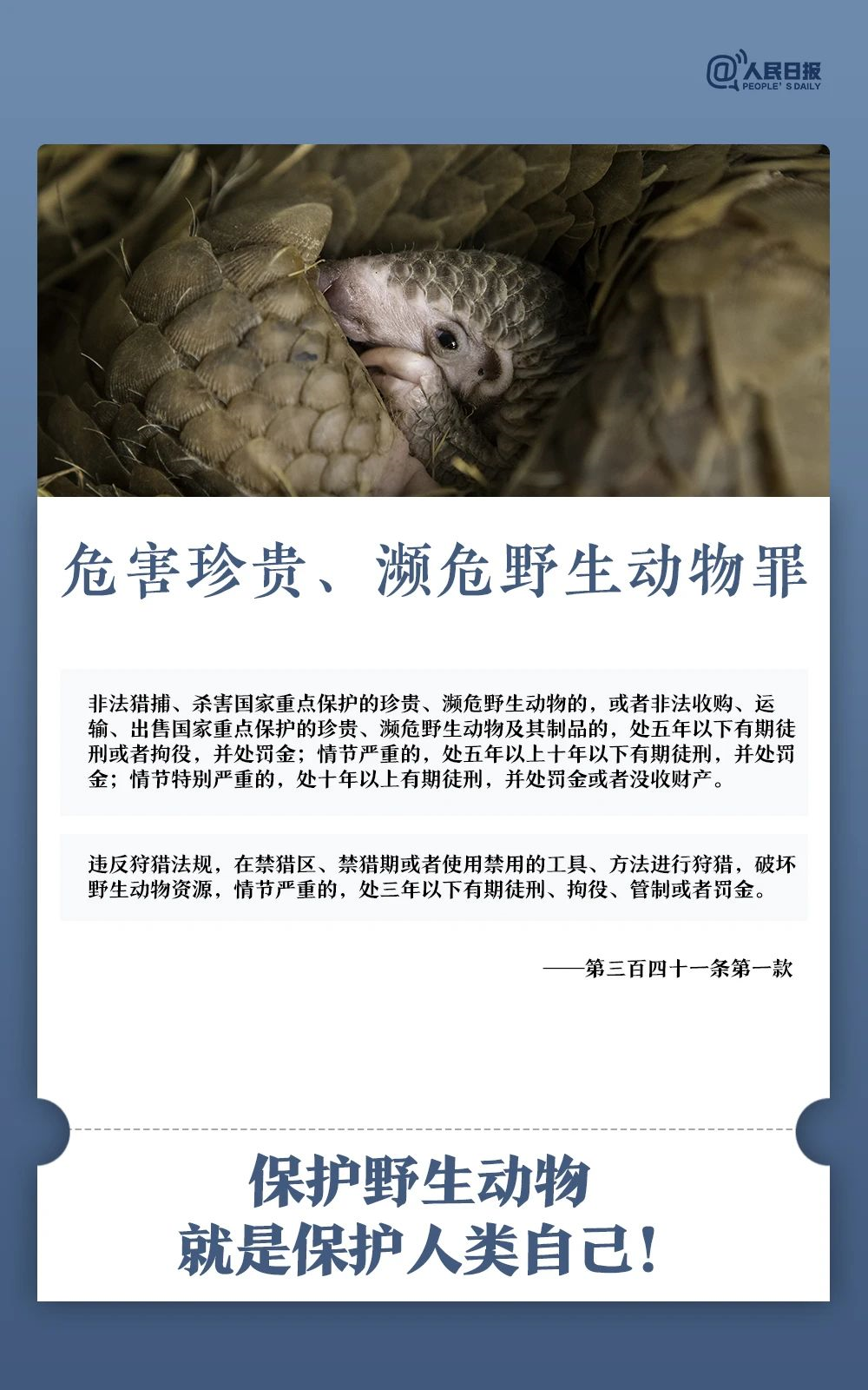 1614612289153249.png