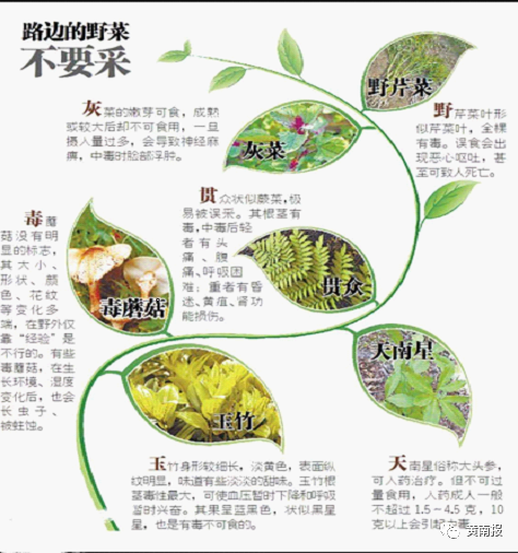 1626827868441086.png 微信图片_20210721083647.png