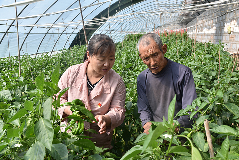 党建引领乡村振兴，西宁市各乡村产业发展欣(10367313)-20230103091029.jpg