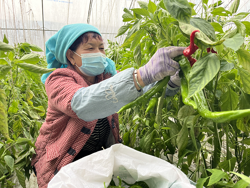 人勤春早农事忙(10574882)-20230210094626.jpg
