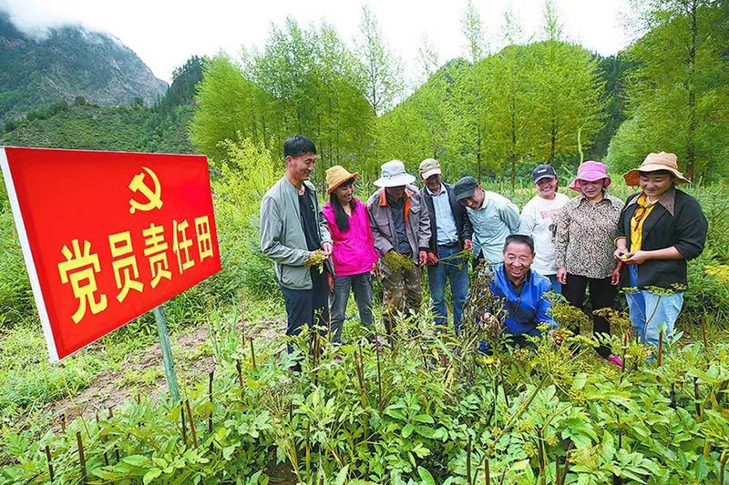 门源县珠固乡东旭村党员致富带头人正在为村(10936408)-20230509090939.jpg