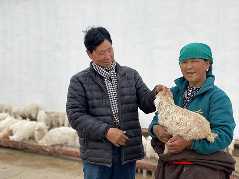 （乡村振兴在青海）返乡播撒致富“种子”((11123337)-20230515091855.jpg
