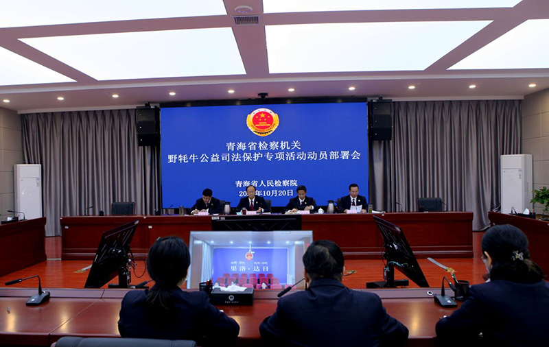 图为省检察院召开野牦牛公益司法保护专项活(20249261)-20231207150446.jpg