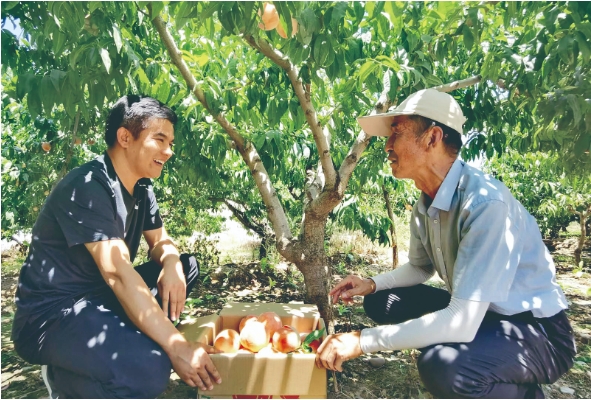微信截图_20240903090621.png
