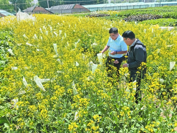 微信截图_20241230103724.png