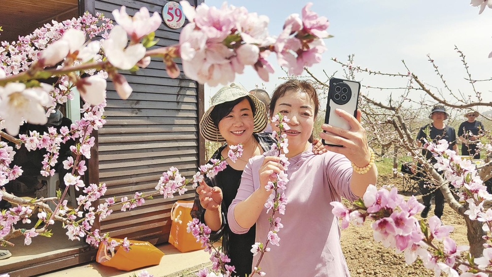 微信截图_20250420141320.png